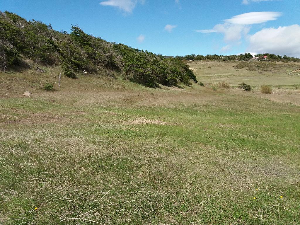 Terreno_61