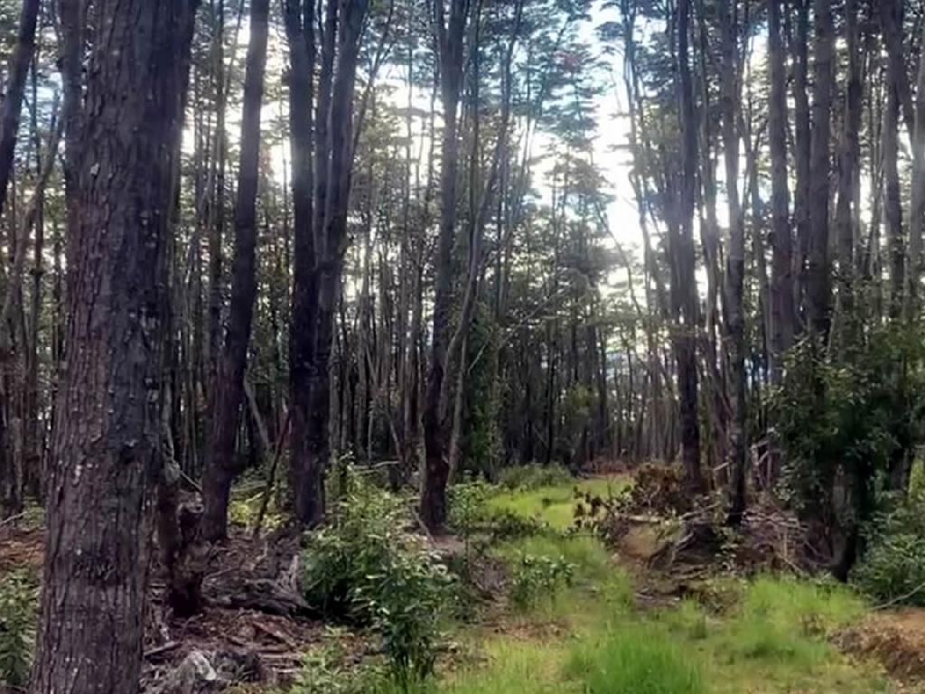 Terreno_48